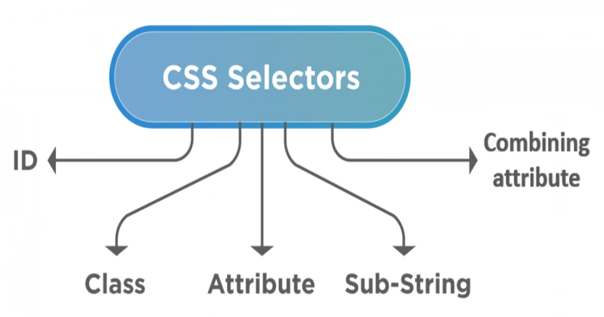 What are the different types of Selectors in CSS?